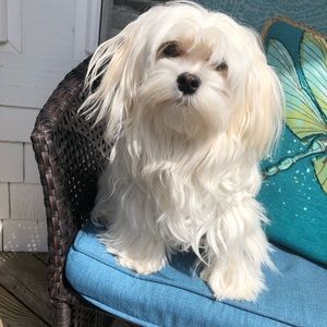 Meet your Posher, Matte